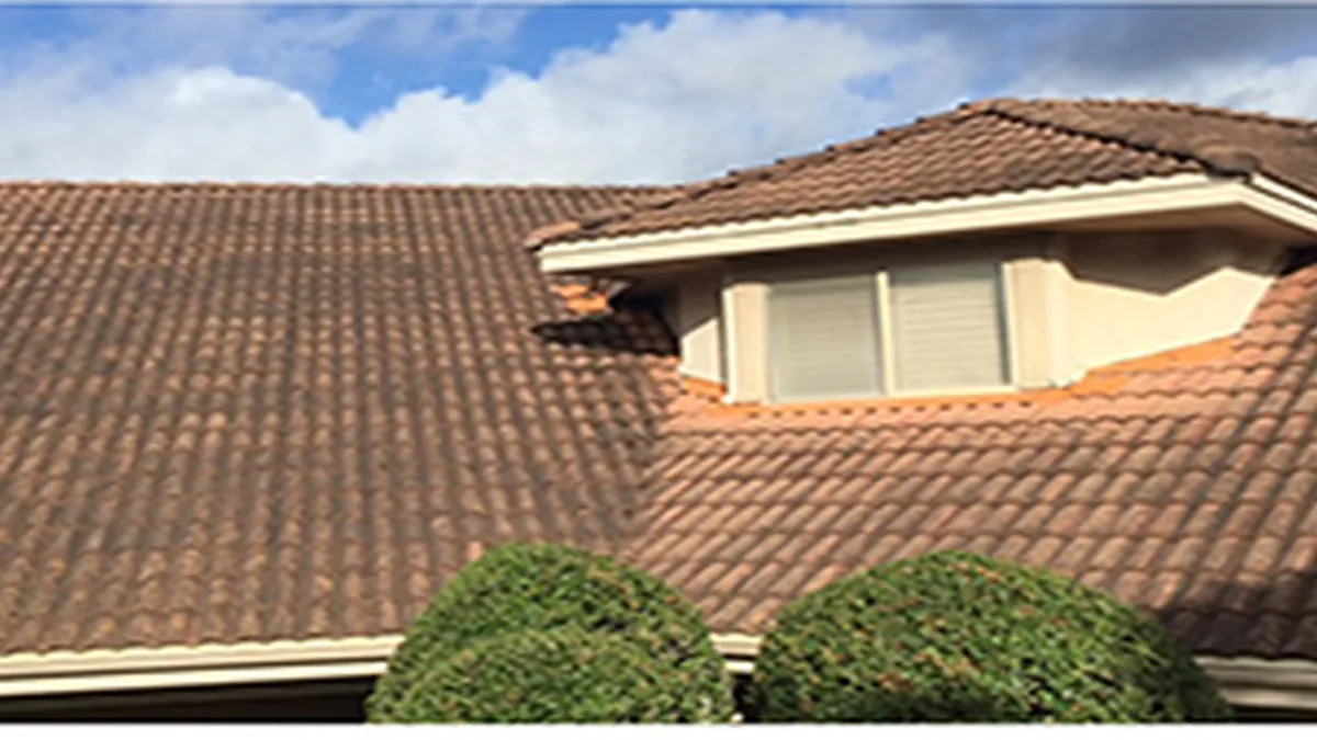 Roof before